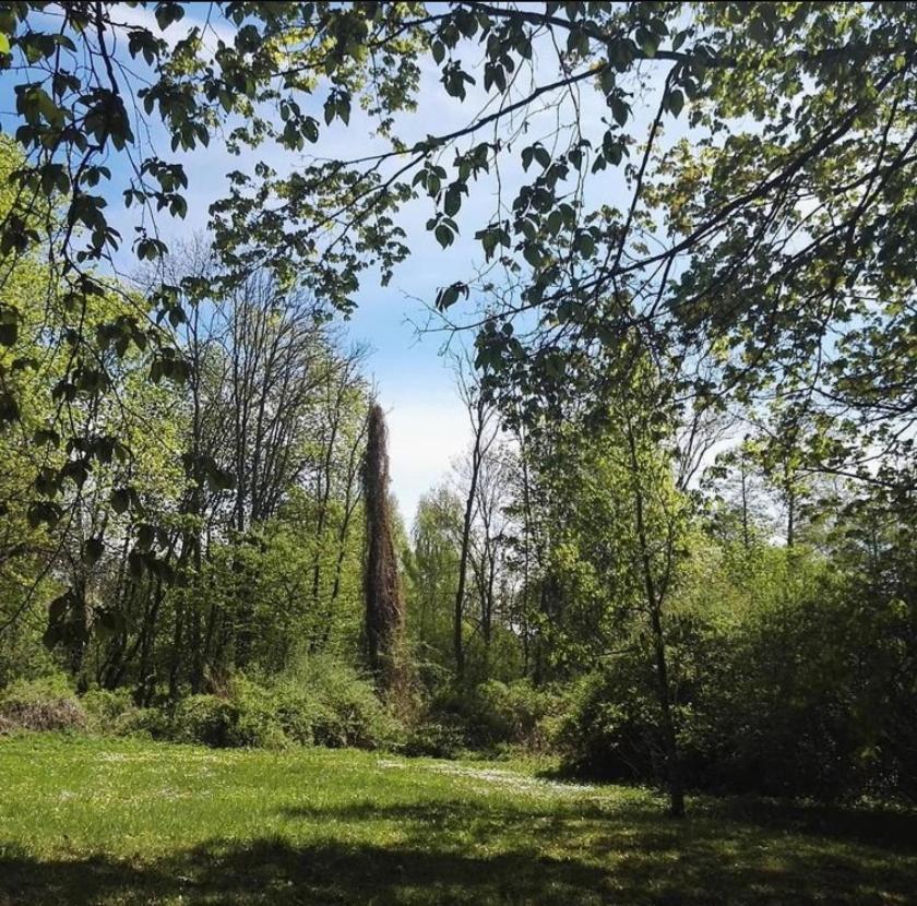 Hotel Im Park Sorkwity Εξωτερικό φωτογραφία